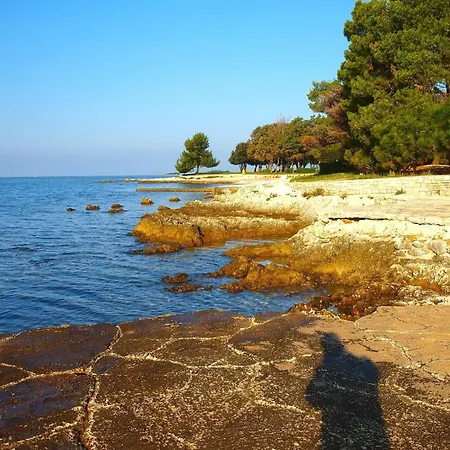 Fuer 4 Personen Ca 60 Qm In Cervar-porat, Istrien Istrische Riviera Apartment Porec